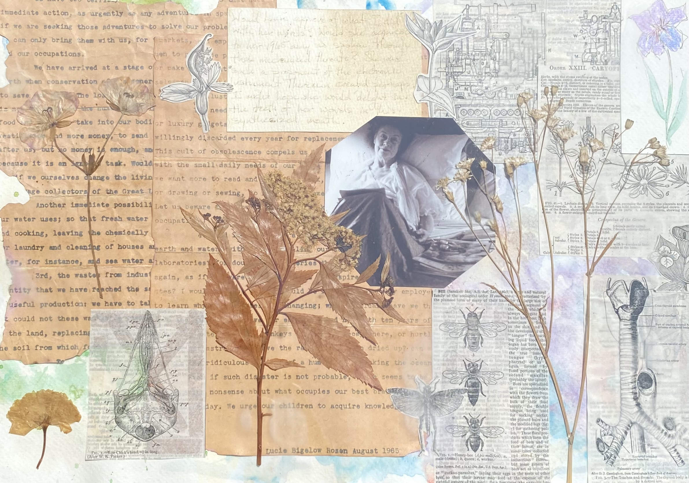 Sonic Innovations at Caramoor - Katonah, NY | June 11-October 10, 2021, image size:2383x1672